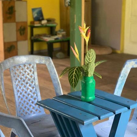 La Y Surf Camp Hotel Bocas Town Exterior foto