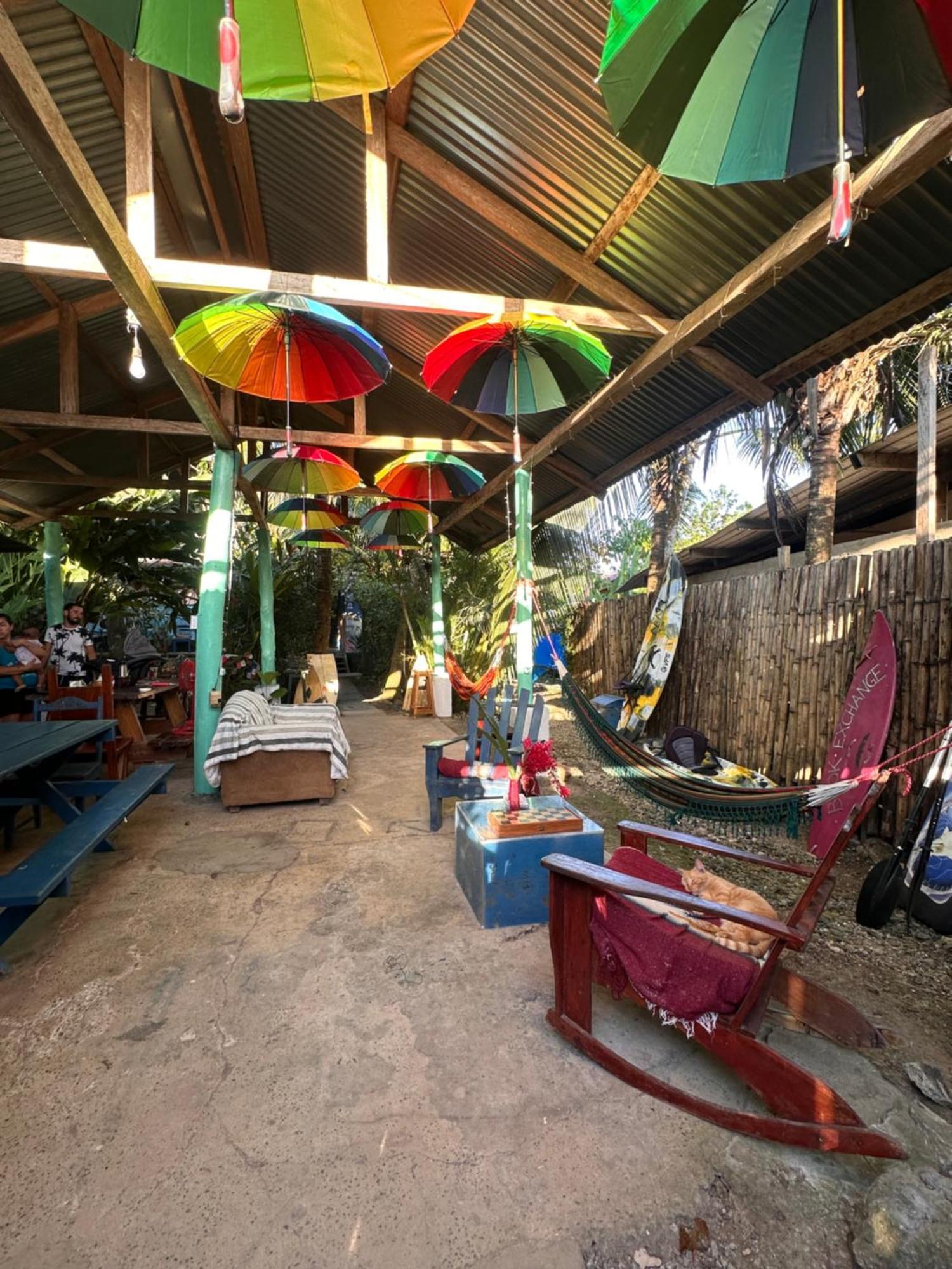 La Y Surf Camp Hotel Bocas Town Exterior foto